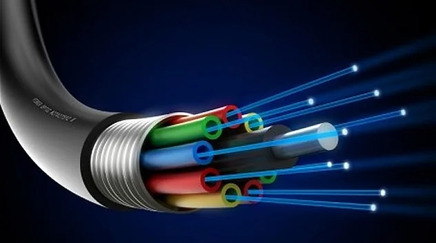 Fiber